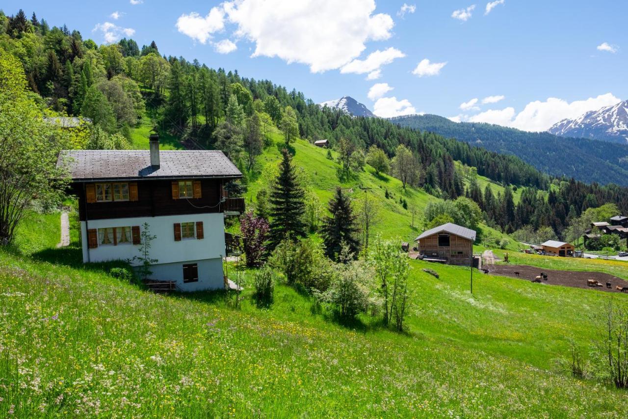 Chalet Orion Bellwald Exterior foto